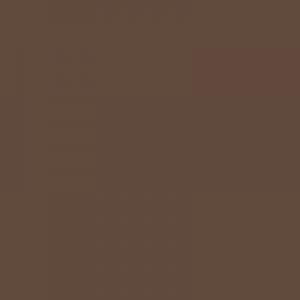 Entrydoor Brown Designer Paint Color