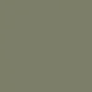 Entrydoor Cypress Designer Paint Color