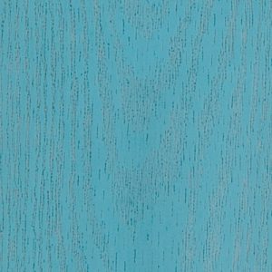 Entrydoor Triton Stain Color
